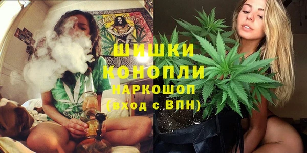 2c-b Белокуриха