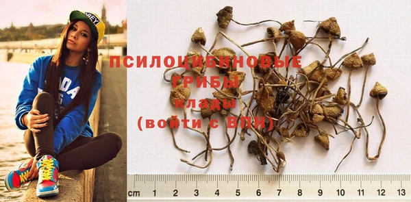 2c-b Белокуриха
