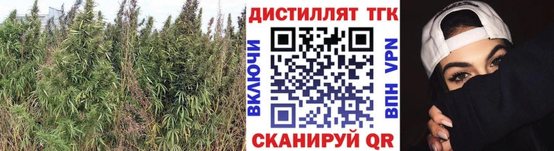 Дистиллят ТГК концентрат Котельники