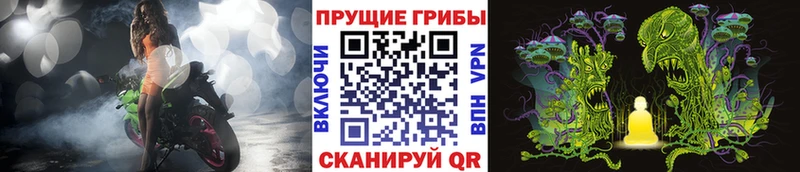 Галлюциногенные грибы MAGIC MUSHROOMS магазин продажи Котельники